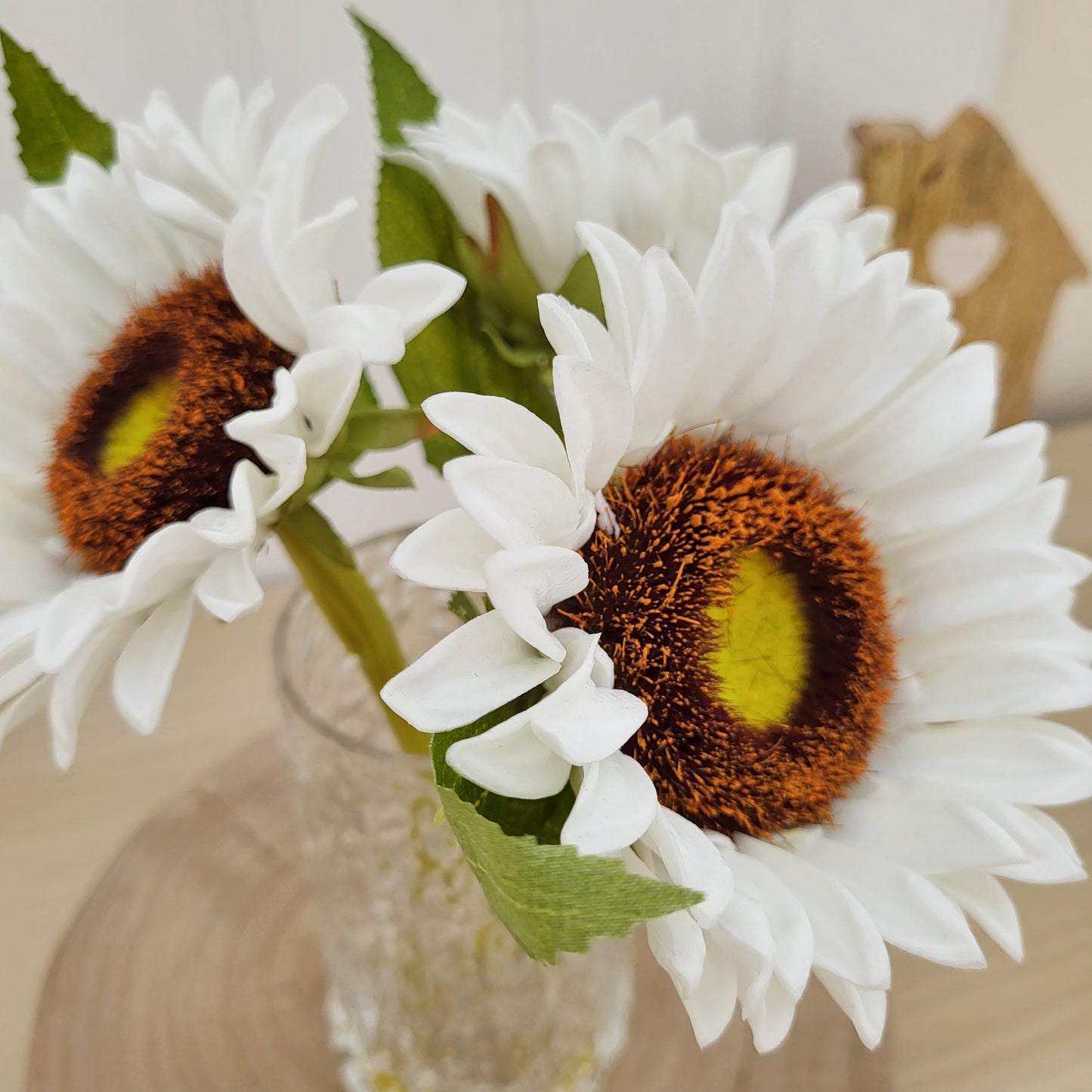 White Sunflower Stems In Vase