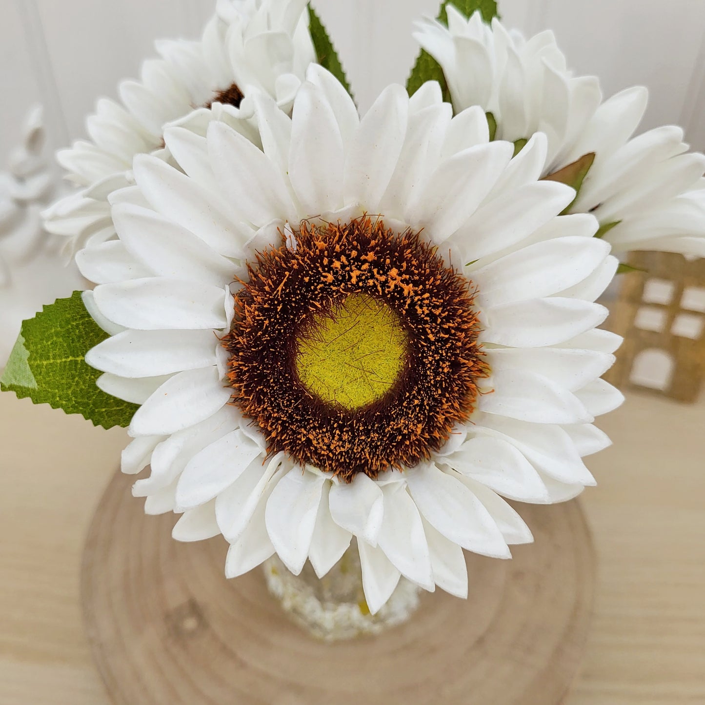 White Sunflower Stems In Vase