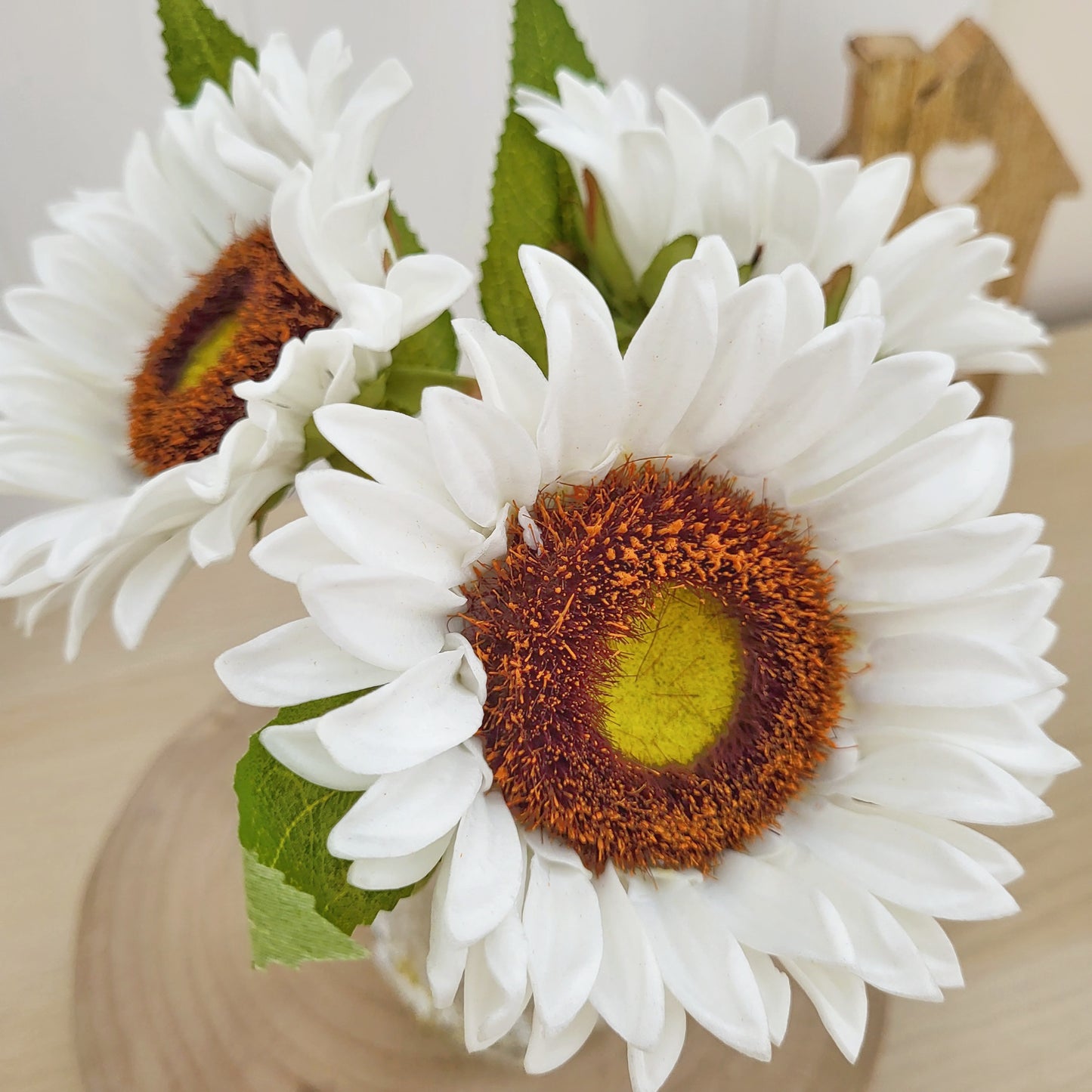 White Sunflower Stems In Vase