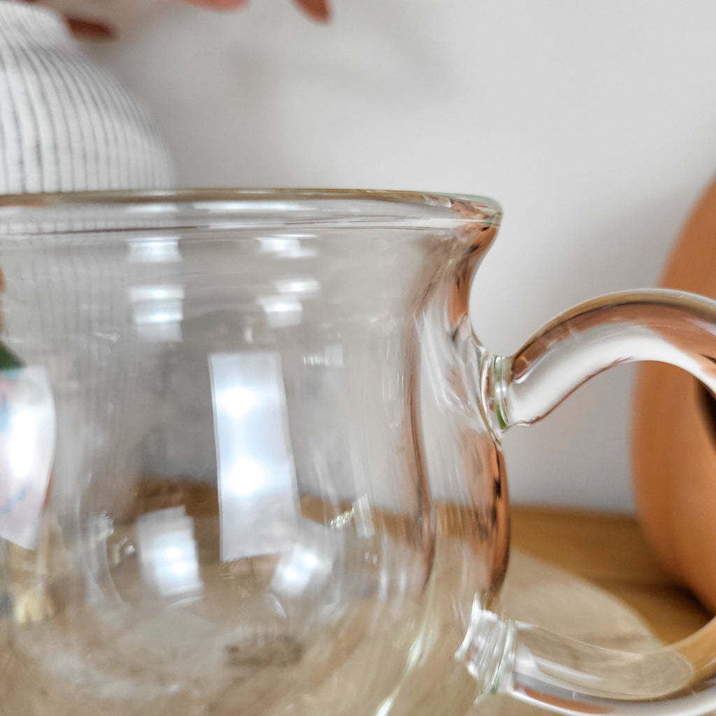 Double Walled Glass Cauldron Mug