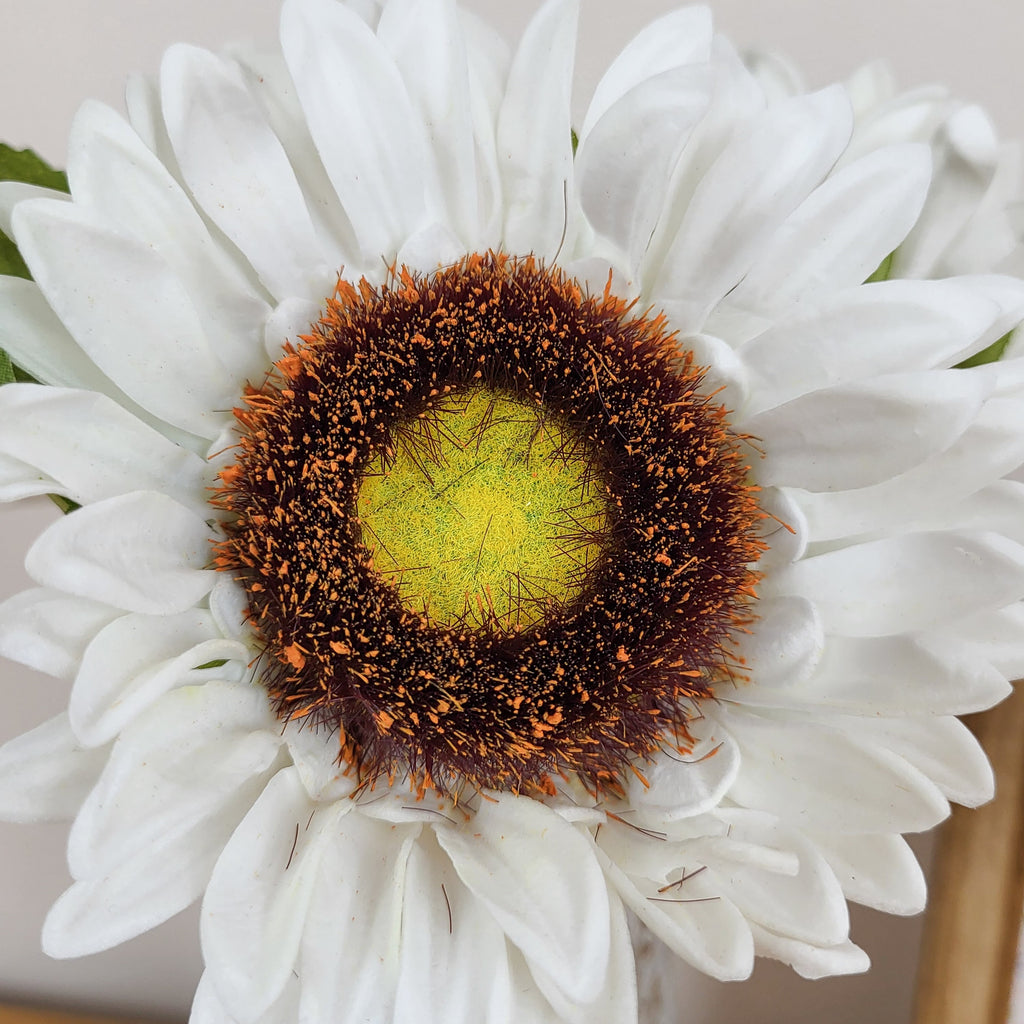 White Sunflower Stems In Vase