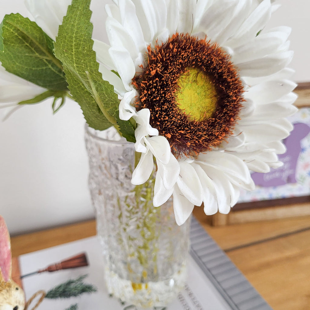 White Sunflower Stems In Vase