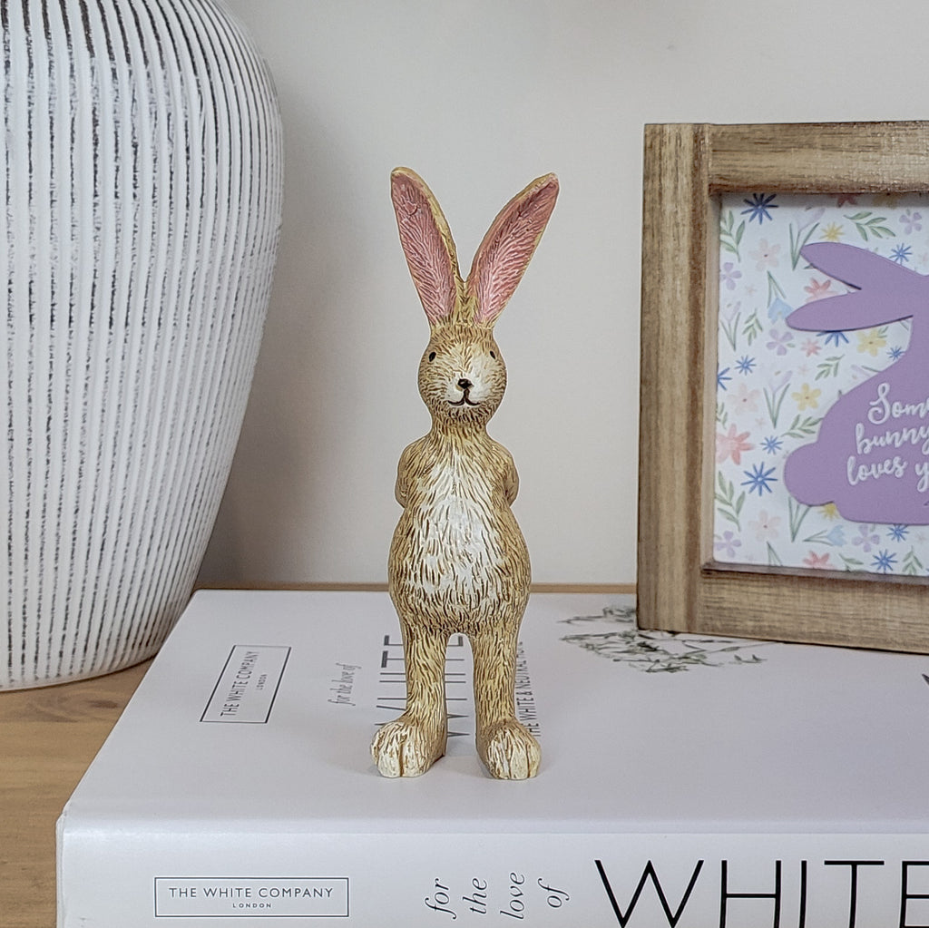 Rabbit With Rose Ornament