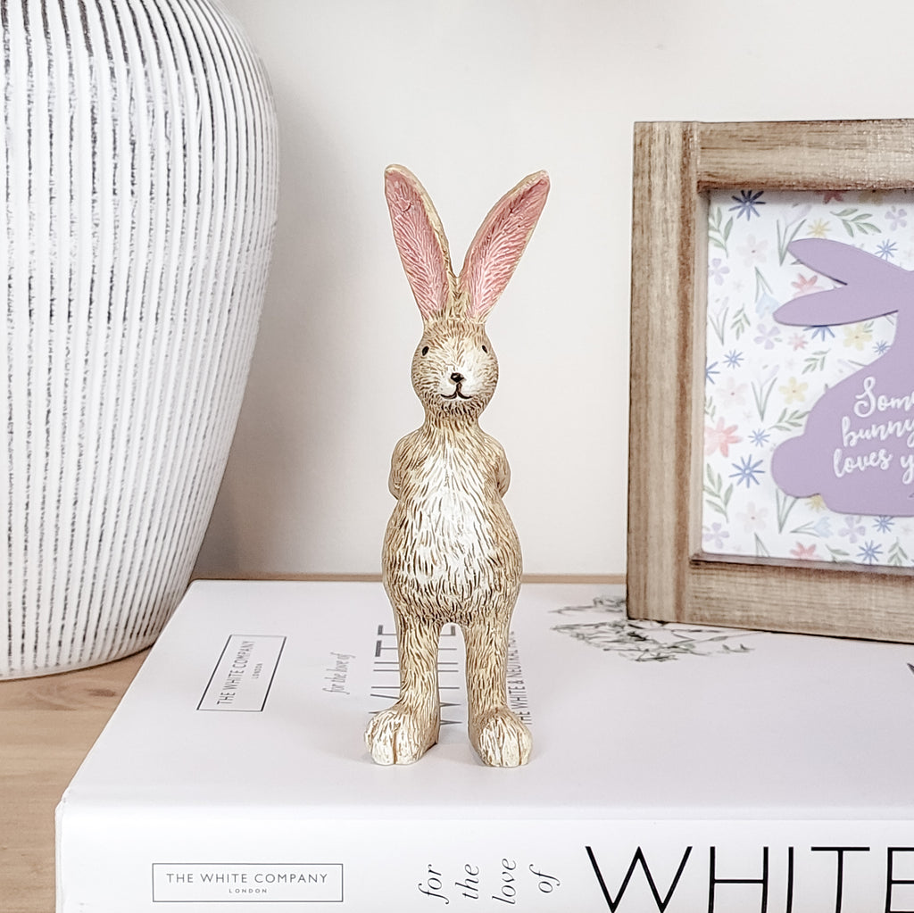 Rabbit With Rose Ornament