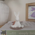 White Textured Sitting Rabbit Ornaments