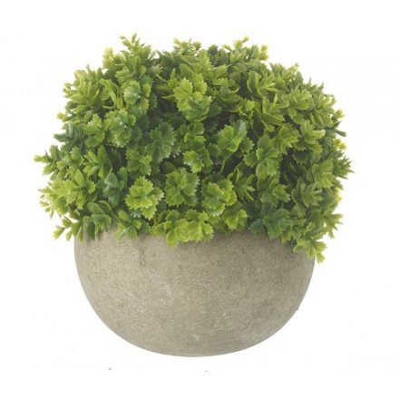 Faux Hebe Veronica Plant In Grey Pot