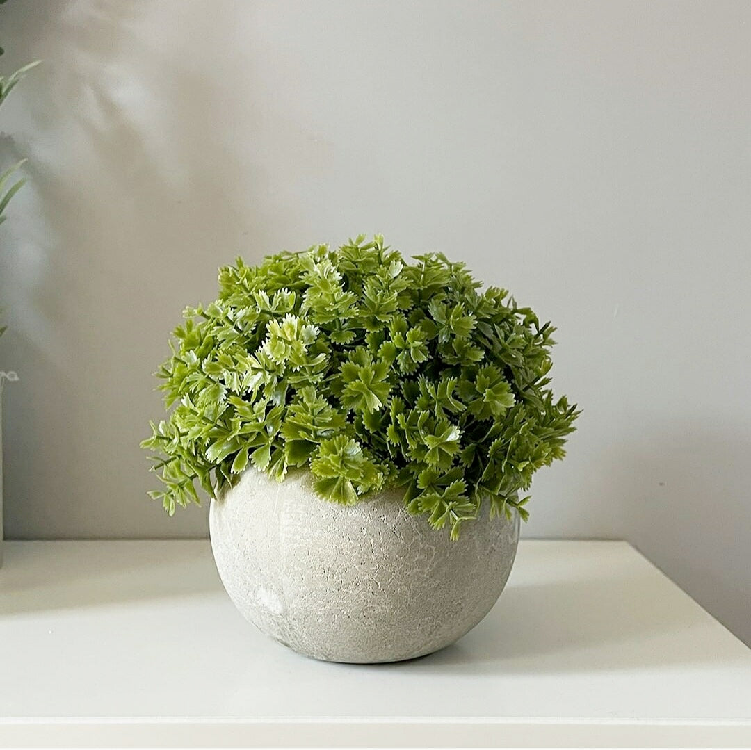 Faux Hebe Veronica Plant In Grey Pot